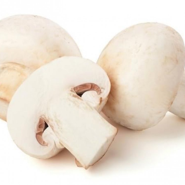 BIO extrakt Agaricus Bisporus 30%