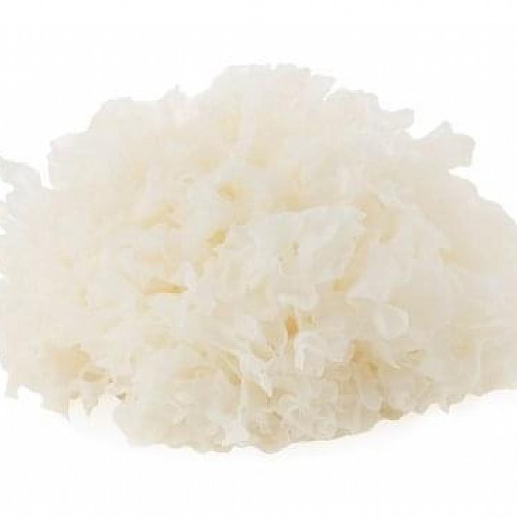 BIO extrakt Tremella Fuciformis 30%